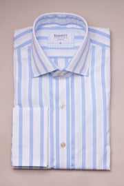 Light Blue Striped Shirt